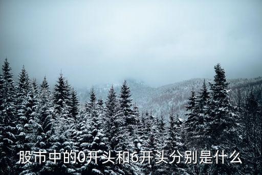 股市中的0开头和6开头分别是什么