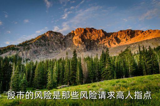 股市的风险是那些风险请求高人指点