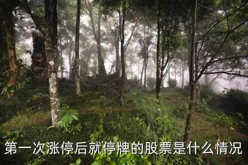 第一次涨停后就停牌的股票是什么情况