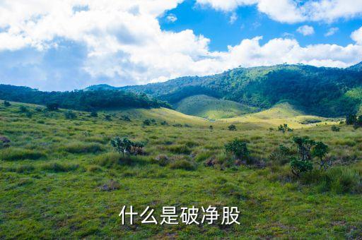 什么是破净股