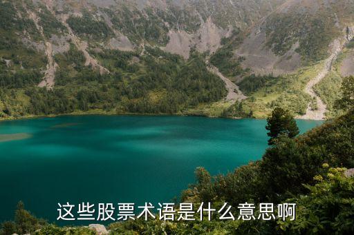 这些股票术语是什么意思啊