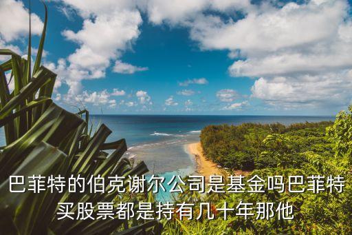 巴菲特的伯克谢尔公司是基金吗巴菲特买股票都是持有几十年那他