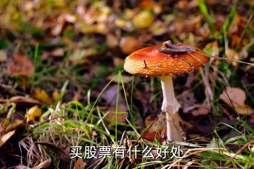 买股票有什么好处