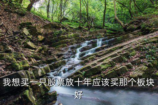 我想买一只股票放十年应该买那个板块好