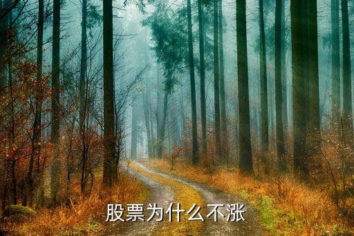 股票为什么不涨