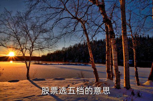 股票选五档的意思