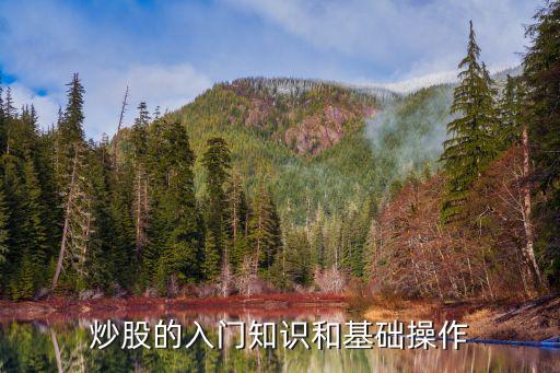 什么是股票pz流程图，股市的操作流程和K线图
