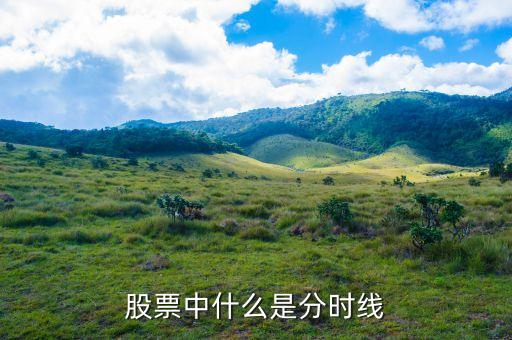 股票中什么是分时线