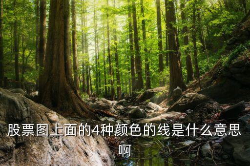股票图上面的4种颜色的线是什么意思啊