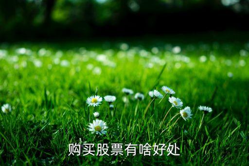 投资白马股票有什么好处，为什么说熊市买白马牛市买证券