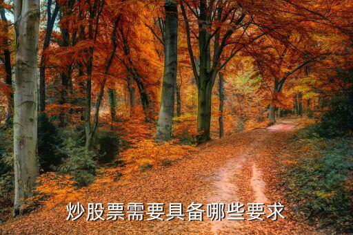 炒股票需要具备哪些要求