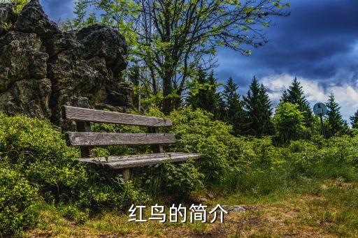 伊戈尔股票什么概念，002922股票是创业板吗