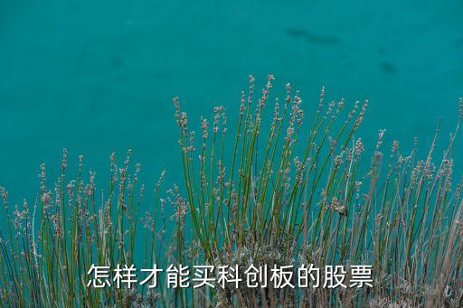 怎样才能买科创板的股票