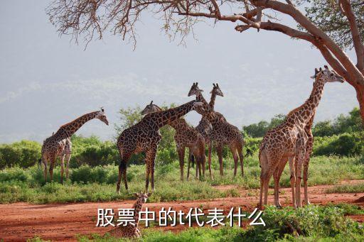 股票的做t是什么意思，股票中的t代表什么