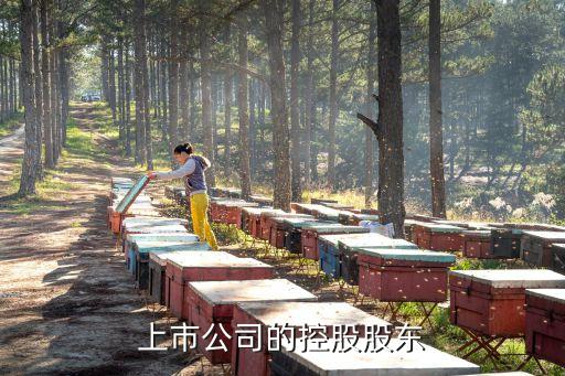 上市公司的控股股东