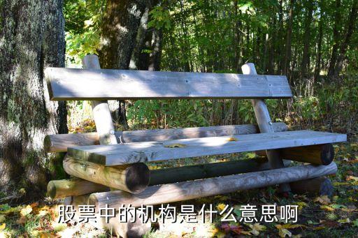 股票中的机构是什么意思啊