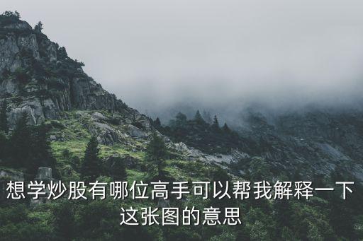 想学炒股有哪位高手可以帮我解释一下这张图的意思