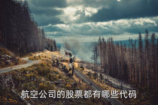 航空公司的股票都有哪些代码