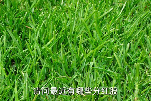 请问最近有哪些分红股