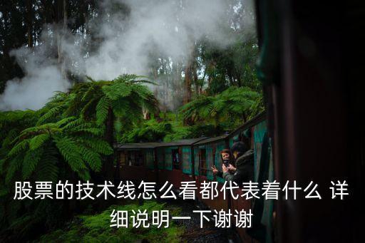 投资股票看技术意味什么，股市技术分析具有怎样的意义