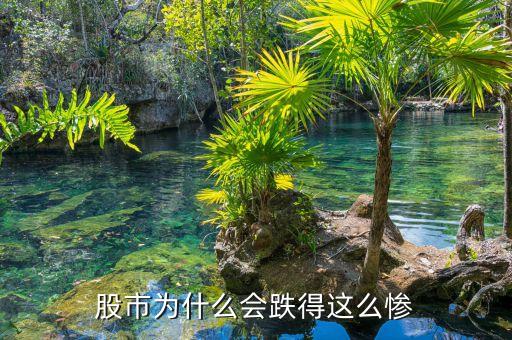 股市为什么会跌得这么惨