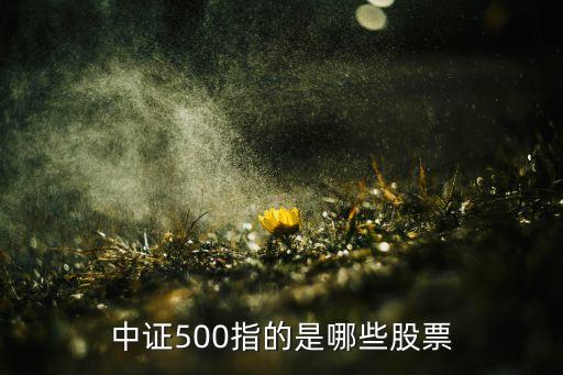 中证500指的是哪些股票