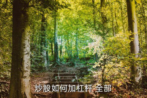 炒股如何加杠杆 全部