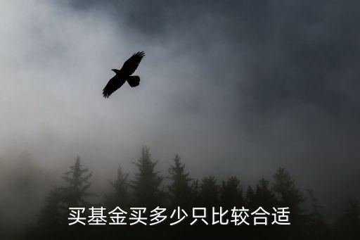 买基金买多少只比较合适