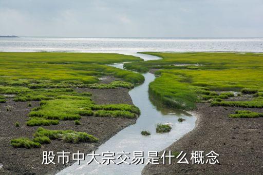股市中大宗交易是什么概念