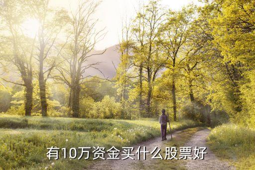 有10万资金买什么股票好