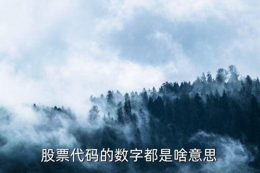 股票后面的3是什么意思，股票以号码 3开头是什么意思
