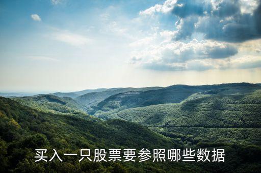 买入一只股票要参照哪些数据