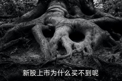 为什么新股开市买不到股票，新股上市为什么买不到