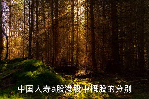中国人寿a股港股中概股的分别