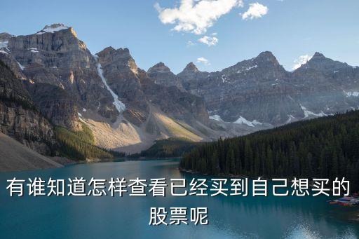 有谁知道怎样查看已经买到自己想买的股票呢