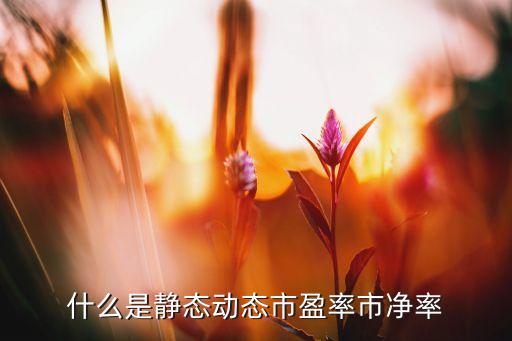 什么是静态动态市盈率市净率