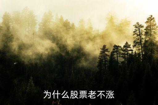 宝力新股票为什么不涨，2016宝新能源股票怎么老是不涨