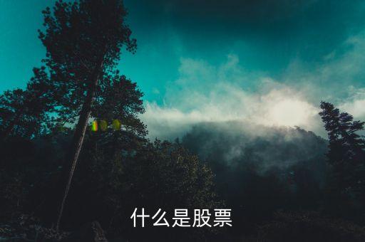 什么是股票