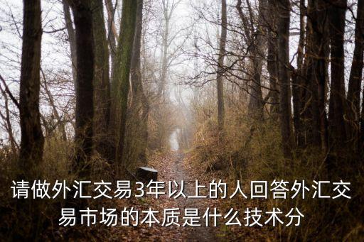 请做外汇交易3年以上的人回答外汇交易市场的本质是什么技术分