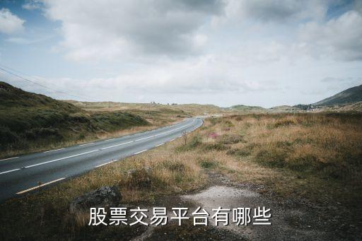 在什么网站平台买股票，股票交易平台有哪些