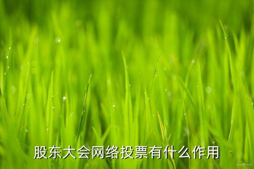 股东大会网络投票有什么作用
