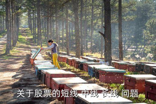 股票投资中什么是中线价格，请问什么是中线啊