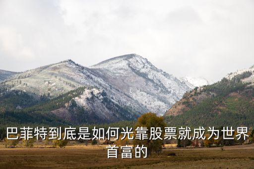 巴菲特为什么买入石油股票，2016年网传言巴菲特斥资372亿购入精密机件大举买入石油股等等有