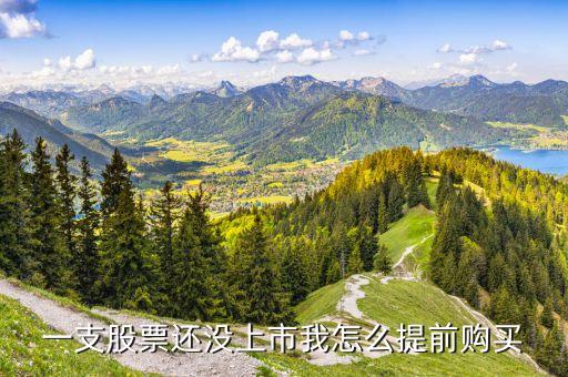 一支股票还没上市我怎么提前购买