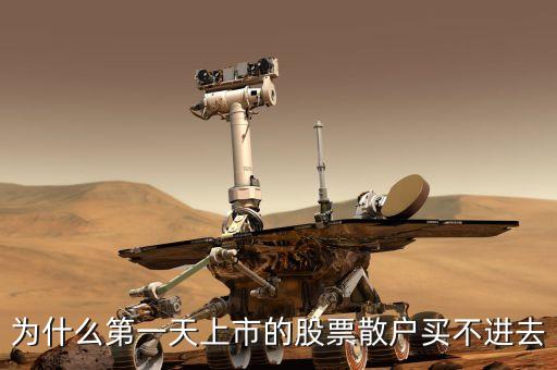 为什么第一天上市的股票散户买不进去
