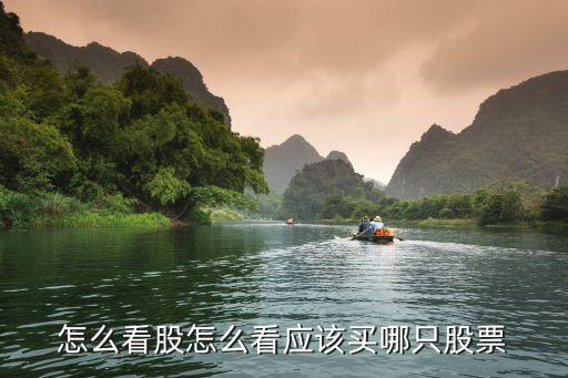 怎么看股怎么看应该买哪只股票