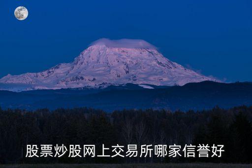 股票炒股网上交易所哪家信誉好