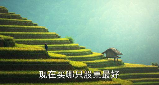 现在买哪只股票最好