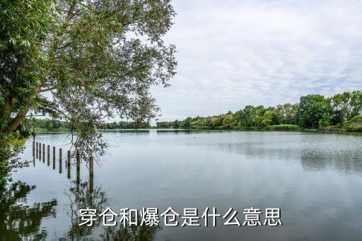 股票爆仓穿仓事件是什么，穿仓和爆仓是什么意思