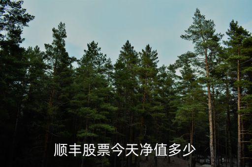 顺丰股票今天净值多少